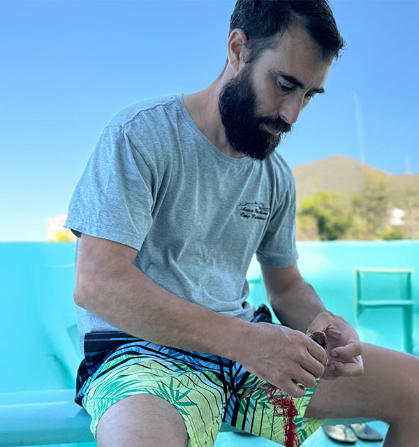 Federico